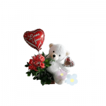 خرس برای هدیه